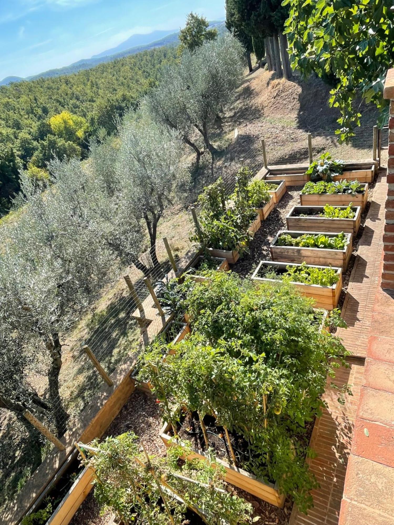 La Fornace Villa Asciano Buitenkant foto